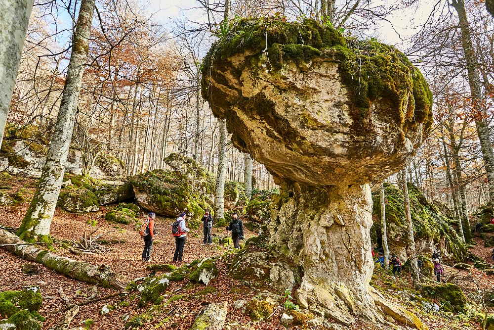 Senderistas en el bosque encantado de Urbasa